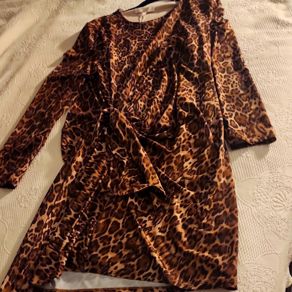 WAYF Brown Leopard Print Dress